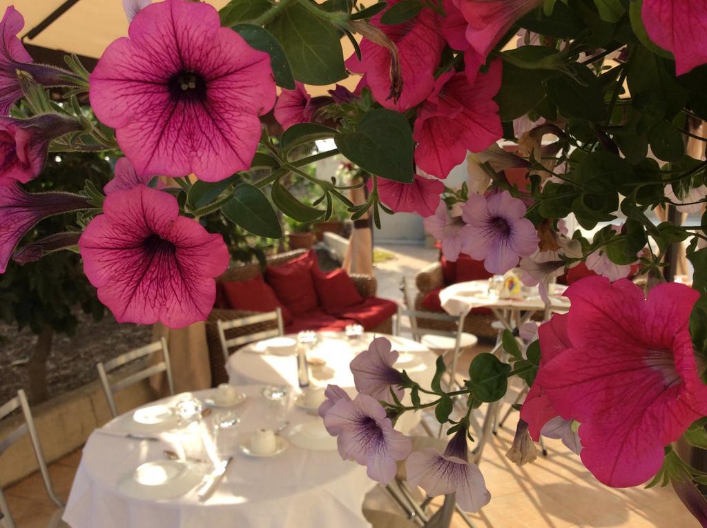 Siciliantica Bed & Breakfast Rilievo Exterior photo